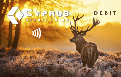 card designs stag debit
