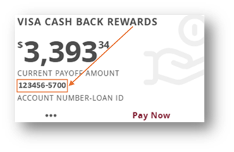 Loan ID